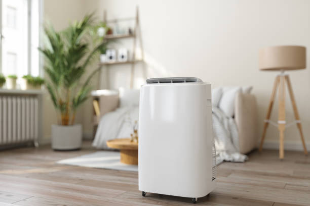 Best Ductless HVAC repair  in Mena, AR
